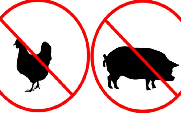 no meat